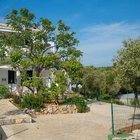 Apartamento Kuca Za Odmor Denona Borovići Exterior foto