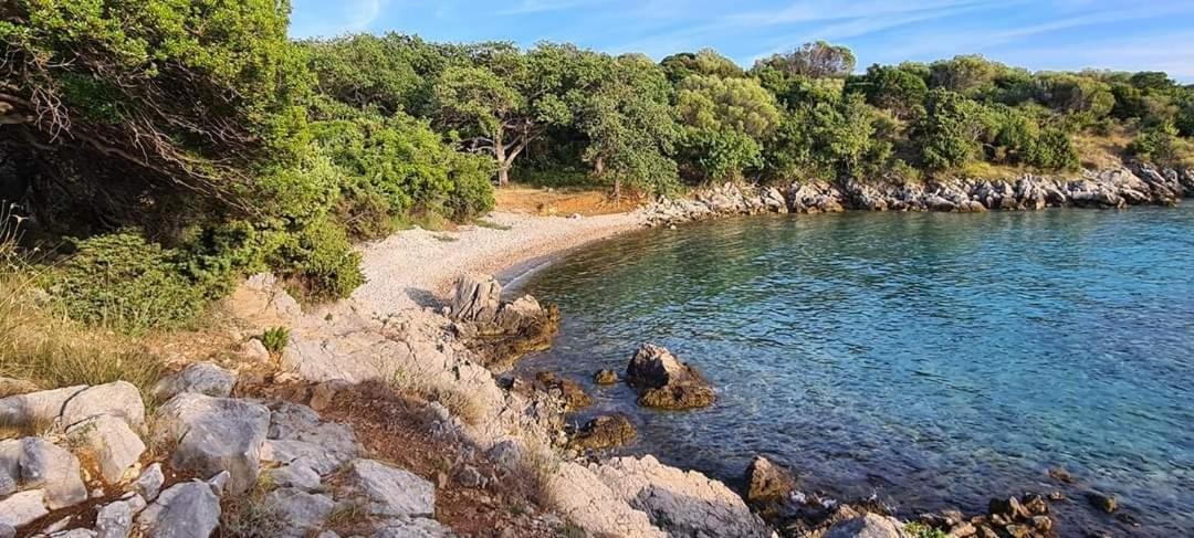 Apartamento Kuca Za Odmor Denona Borovići Exterior foto